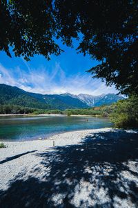 木々の間に見えるやすらぎ