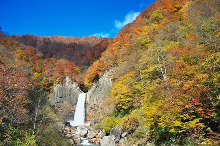 紅葉の滝