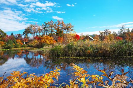 色づく池