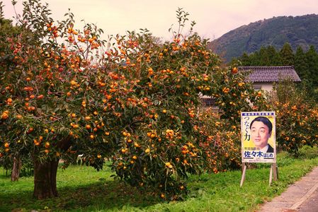 「パワースポット」