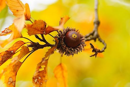 秋色染まる頃！😽🍂🍑😊