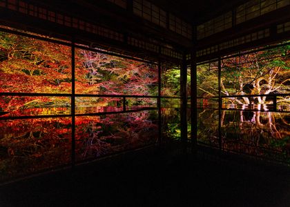 『幻想的な美』－八瀬瑠璃光院－