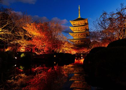 『🍁うっわぁ～‼️』－先行拝観 点灯の瞬間－