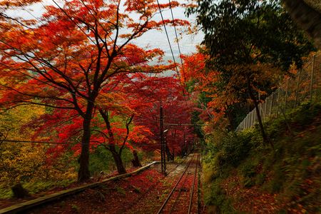 『比叡山も紅葉真っ盛り』－叡山ケーブルｰ