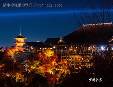 京都「清水寺」紅葉ライトアップ