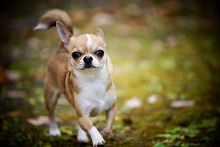雪が降る前にひとっ走り