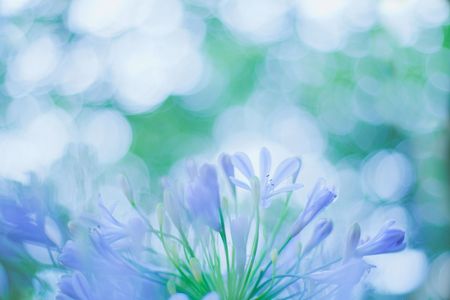 見上げると…🫧