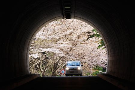 トンネルの向こうは春🌸