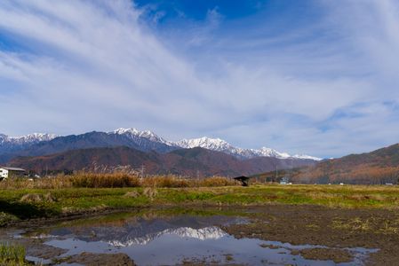 冬の足音が聞こえた。。。