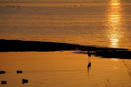 湖畔にかかる斜陽