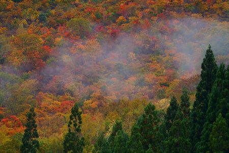 白いベールを纏った秋