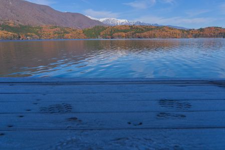 晩秋、冬の足音が聞こえる