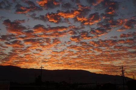 「朝焼けのうろこ雲」