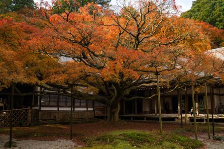 雷山千如寺大悲王院