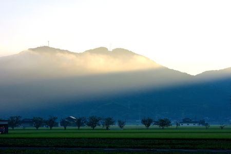 風のない朝