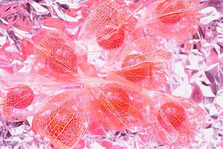 シルバーに魅せられて