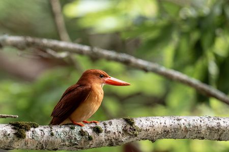今年もありがとう
