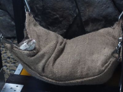 起こさないで。