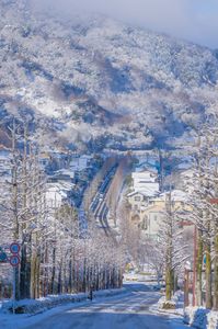 雪景色の桂坂