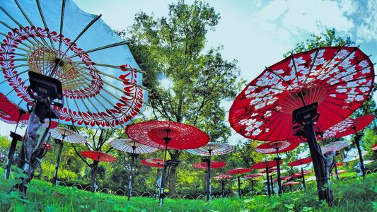 和傘ディスプレイ【2】