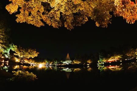 【秋の夜散歩2025】-1