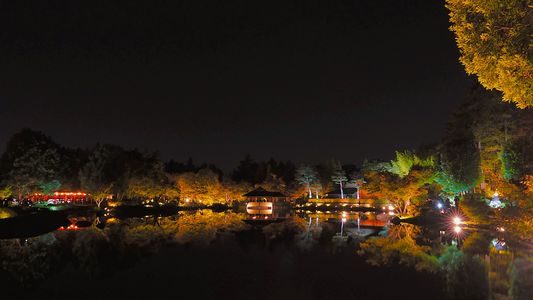 【秋の夜散歩2025】-3