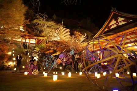 紅葉ライトアップ