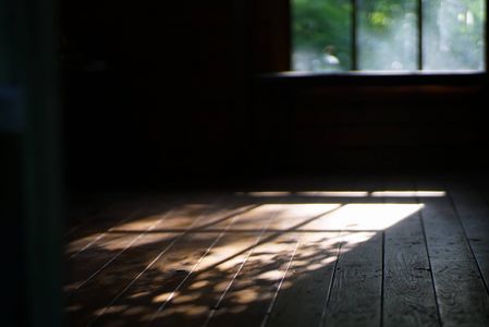 木香薔薇のヒカリよ*