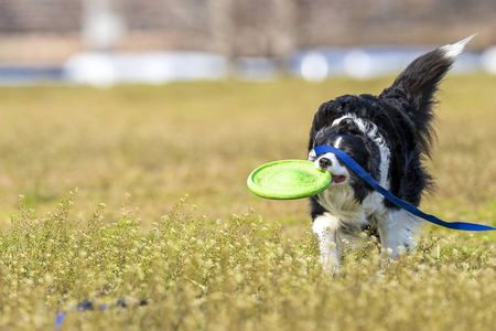 リードで前見えてませんよね？