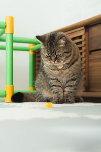 ブ ロック オン