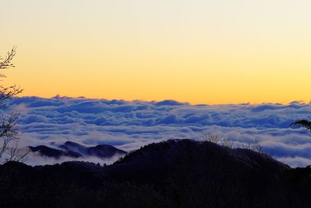 雲取山から望む早朝の雲海