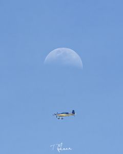 月とウイスキーパパ