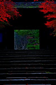 うえるかむ　れっど