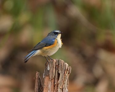 初めての出会い