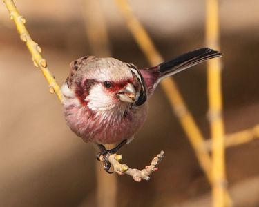 初めての出会い