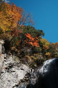 紅葉と滝