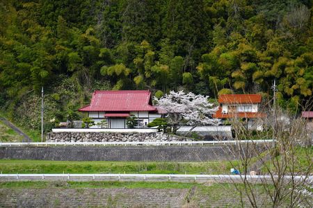 春のお寺（島根県雲南市）