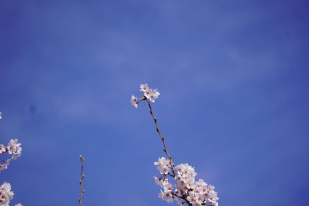 見上げると