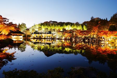 庭園内で夜散歩