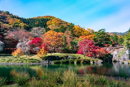 日本庭園