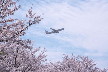 春に飛ぶ