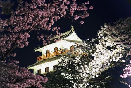 白石城と夜桜