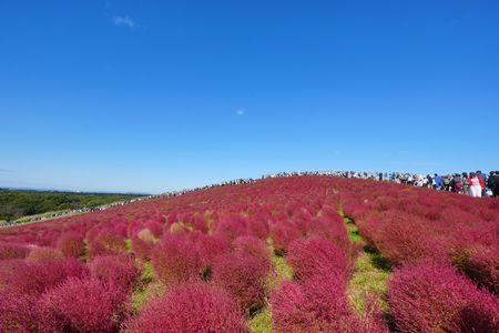 稜線彩る歩み