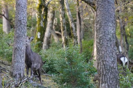 え～っと・・僕・・見えてる？？？