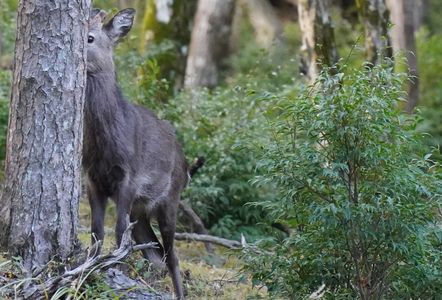 やっぱ・・見えてるか！