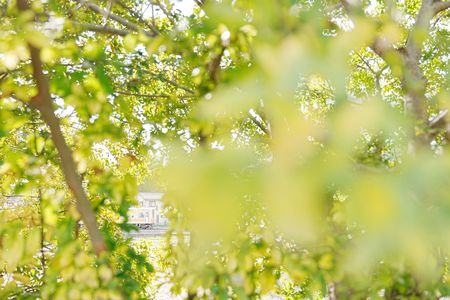 小春日和の隙間から