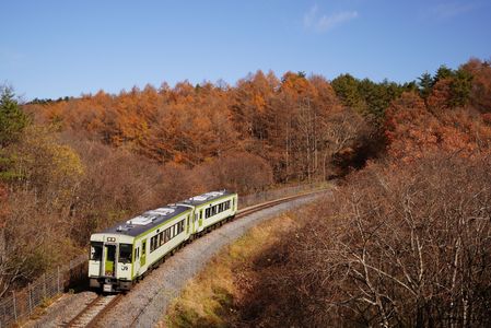 小海線　’25秋