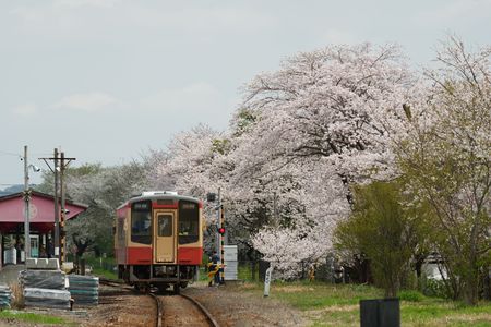 気賀駅の春