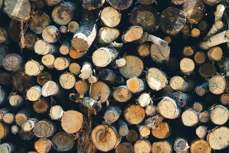 色とりどりの断面