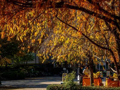 Where Autumn Holds Every Name
